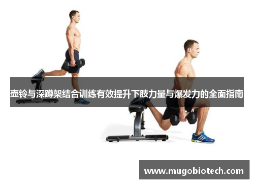 壶铃与深蹲架结合训练有效提升下肢力量与爆发力的全面指南