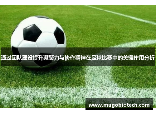 通过团队建设提升凝聚力与协作精神在足球比赛中的关键作用分析