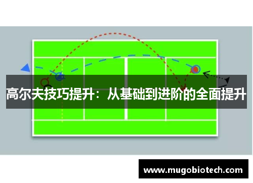 高尔夫技巧提升：从基础到进阶的全面提升