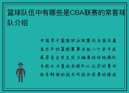 篮球队伍中有哪些是CBA联赛的常客球队介绍